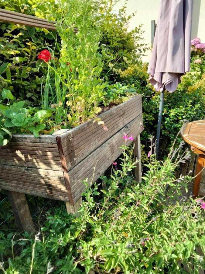 Mer A Pied Vrai Lit Linge Fourni Jardin Brétignolles-sur-Mer Екстериор снимка